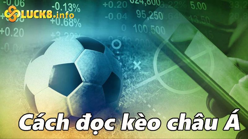 Hướng dẫn chi tiết cách đọc kèo châu Á cụ thể, dễ hiểu nhất