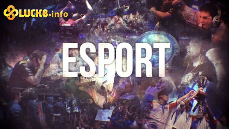 Cá cược thể thao trực tuyến Esport đỉnh cao 