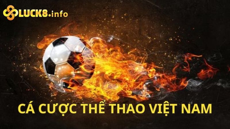 Cá cược thể thao Việt Nam an toàn với những giải đấu siêu hot