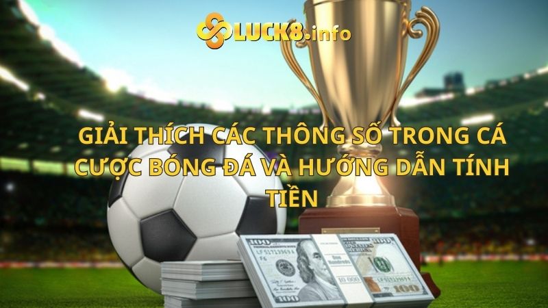 Giải thích các thông số trong cá cược bóng đá và cách tính tiền