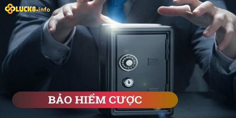 Bảo hiểm cá cược bồi thường 11 triệu đồng khi rủi ro xảy ra