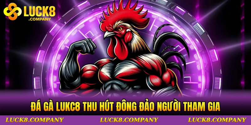 Đá gà LUKC8 thu hút đông đảo người tham gia